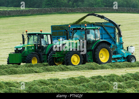 2 trattori lavorano nel campo di fattoria,1 il traino del trattore trincia & 1 raccolta di erba tagliata per insilati in trailer - serata dello Yorkshire, Inghilterra, GB, Regno Unito Foto Stock