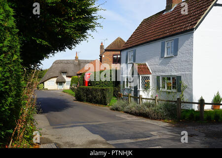 Village Street a Dummer, Hampshire Foto Stock