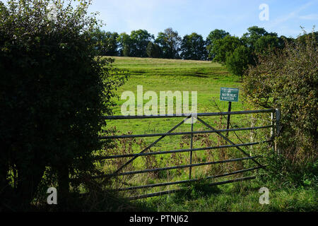 Una vista al di sopra della gate di Jane Austen's Birthplace Foto Stock