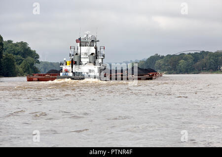 Rimorchiatore 'Mary Artie Brannon, Paducah, KY' spingendo caricato carbone chiatte, fiume Ohio. Foto Stock
