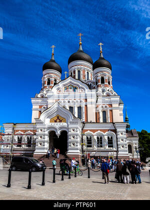 La Cattedrale Alexander Nevsky di Tallinn più grande e il più imponente cupola ortodossa cattedrale nella città vecchia di Tallinn Estonia Foto Stock