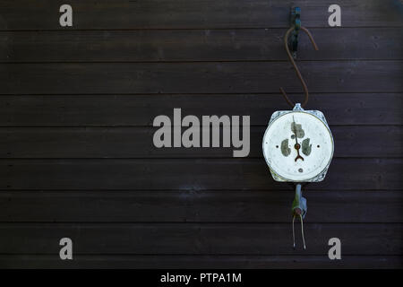 Sospesa appeso pesatrice bilancia per la carne e il pesce di apparecchiature meccaniche volto bianco dial contro uno sfondo scuro Foto Stock