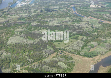 Wien, Lobau (Donauau), Luftbild Foto Stock