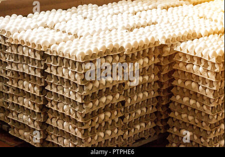 Un sacco di uova di pollo nei vassoi, cernita delle uova di pollo, carne di pollo Foto Stock