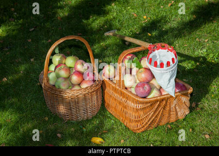 Cestini di mele e un frut raccoglitori Foto Stock