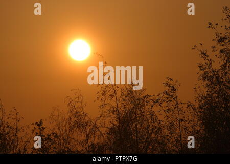 Sunrise da Rothwell Country Park, Leeds, West Yorkshire Foto Stock