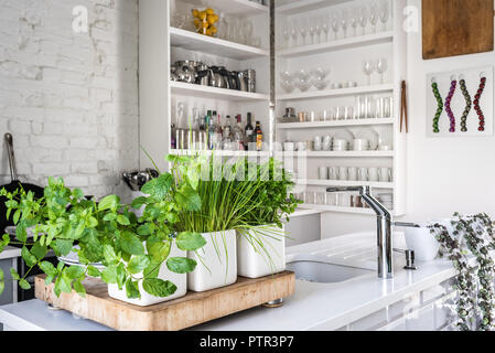 Un assortimento di erbe aromatiche fresche in cucina su misura con risparmio di spazio antine Foto Stock