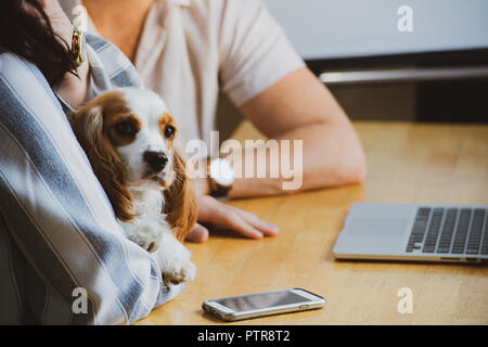 Gli imprenditori in un co-spazio di lavoro che funzioni come il loro ufficio Foto Stock