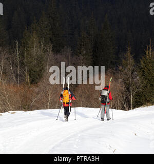 Due escursioni con gli sci in zaino a piedi lungo la strada innevata nel bosco di abeti a sunny giorno d'inverno. Carpazi, Ucraina. Foto Stock