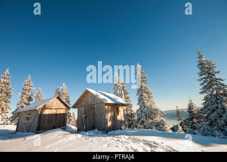 Favola invernale paesaggio soleggiato. Due weathered pastore in legno capanne sulla montagna di clearing innevate tra alberi di pino su brightl blue sky copyspace backgr Foto Stock