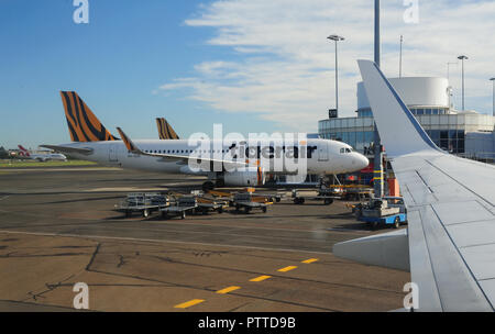 Sydney, Australien. Xiv Apr, 2018. Un aereo della compagnia aerea "Tigerair' sorge sull'aeroporto di Sydney in Australia, presa su 14.04.2018 | Utilizzo di credito in tutto il mondo: dpa/Alamy Live News Foto Stock