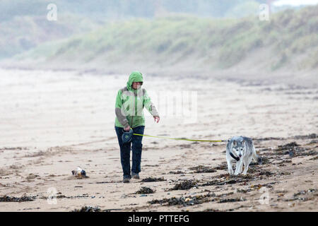 Freshwater East, Pembrokeshire, Galles, 11h Ottobre 2018. Regno Unito: Meteo bagnato maltempo inizia a fare per mare grosso con Storm Callum rendendo per un burrascoso weekend. Pembrokeshire, Galles. Un lone dog walker con il suo husky sfidando il bagnato e ventoso sul litorale a Freshwater East, Pembrokeshire Â©DGDImages/AlamyNews Foto Stock