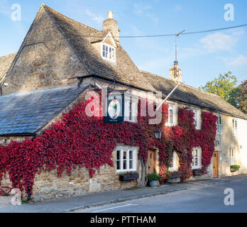 Parthenocissus tricuspidata. Boston Ivy / superriduttore giapponese che ricoprono le pareti della Fox Inn. Abbassare Oddington, Cotswolds, Gloucestershire, Inghilterra Foto Stock