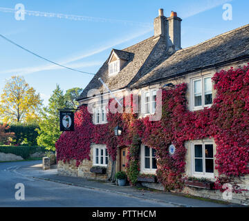 Parthenocissus tricuspidata. Boston Ivy / superriduttore giapponese che ricoprono le pareti della Fox Inn. Abbassare Oddington, Cotswolds, Gloucestershire, Inghilterra Foto Stock