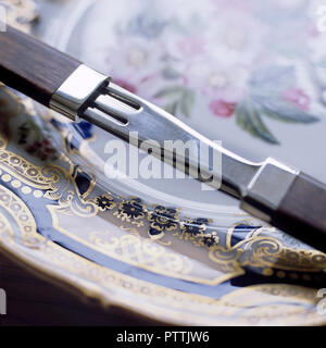 Stoviglia progettato da Lord Snowdon su decorative dipinte a mano la piastra Foto Stock