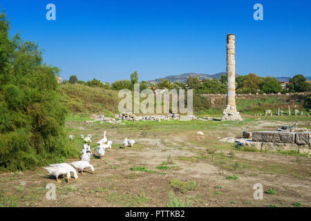 Tempio di Artemide rovine - una delle sette meraviglie del mondo antico - Selcuk, Turchia. Foto Stock