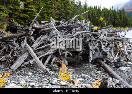 Una capanna fatta di driftwood sul sentiero nella zona di Kananaskis Foto Stock