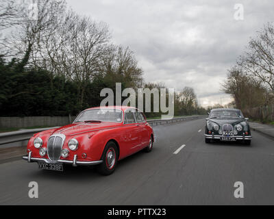 Mk2 Jaguar e Daimler V8 Classic Cars, badge ingegnerizzato in modo da utilizzare la stessa scocca Foto Stock