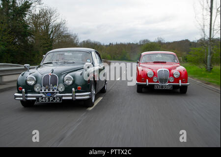 Mk2 Jaguar e Daimler V8 Classic Cars, badge ingegnerizzato in modo da utilizzare la stessa scocca Foto Stock