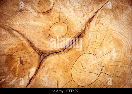 Texture di legno e lo sfondo Foto Stock