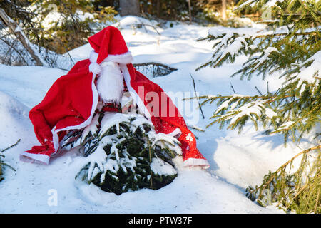 Il Santa Claus costume con barbe si blocca su abete rosso in inverno foresta. Un piccolo albero in una foresta innevata è coperto di Santa Claus vestiti. Cristo Foto Stock