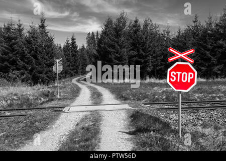 Stop di attraversamento ferroviario in natura. Rosso segnale di avvertimento con crossbuck su nero e sfondo bianco con la strada attraverso la ferrovia e la foresta di abete rosso. Foto Stock