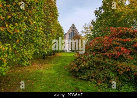 I colori autunnali, vicino Brough Hall, Richmond, North Yorkshire, Inghilterra, Regno Unito Foto Stock