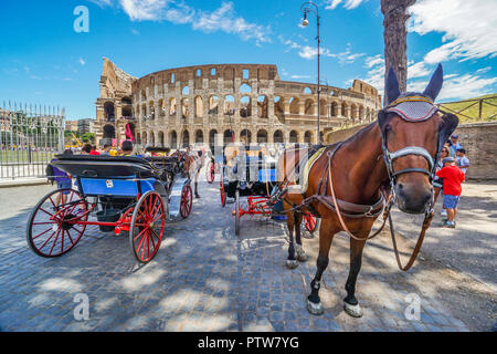 Carrozze trainate da cavalli vi attendono tariffe il Colosseo, il più grande anfiteatro Romano mai costruito e uno di Roma le più iconiche attrazioni turistiche Foto Stock