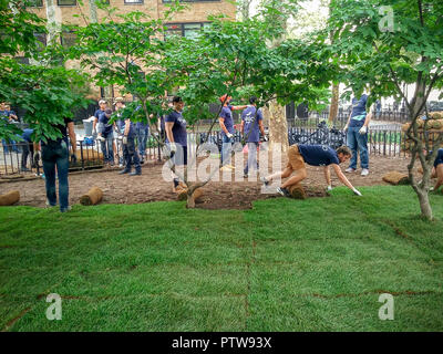 Volontari del Gruppo Argo, una specialità insurance underwriter, sostituire sod in Chelsea Park di New York davanti alla New York City dipartimento di clinica sanitaria su Martedì, 9 ottobre 2018. (Â© Richard B. Levine) Foto Stock