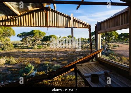 Vecchio ferro corrugato capannone a Koonalda Homestead, Old Eyre Highway, Nullarbor National Park South Australia Foto Stock