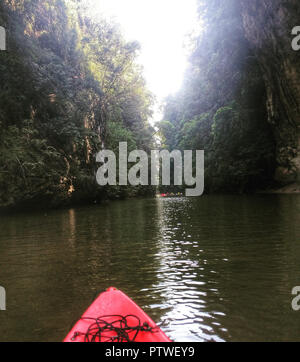 Kayak a Ao Thalane foreste di mangrovie di Krabi, in Thailandia Foto Stock