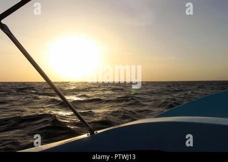 Alla ricerca dei delfini di Trincomalee. Preso in Sri Lanka, Agosto 2018. Foto Stock