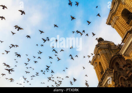 Un gregge di piccioni vola a cerchi contro un cielo blu intorno a San Francisco Chiesa, a Lima, Perù, una doppia torre campanaria cattedrale che è dipinto di giallo. Foto Stock