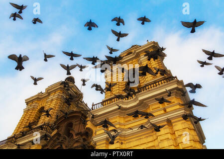 Un gregge di piccioni vola a cerchi contro un cielo blu intorno a San Francisco Chiesa, a Lima, Perù, una doppia torre campanaria cattedrale che è dipinto di giallo. Foto Stock