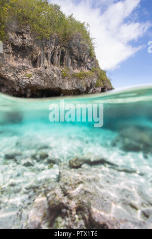 Split shot fotografia subacquea di Niue Isola della costa Foto Stock