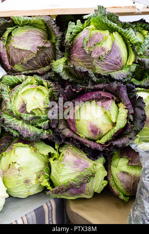 Teste di cavolo cappuccio visualizzati al mercato degli agricoltori Foto Stock