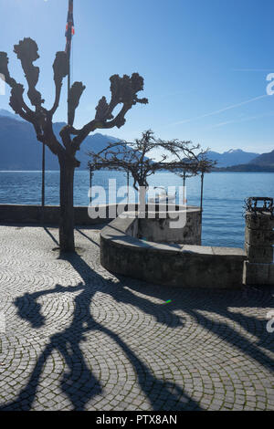 L'Europa, Italia, Menaggio, Lago di Como, un corpo di acqua Foto Stock