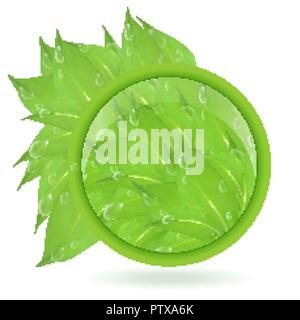 Vettore. Banner rotondo di rami con foglie e gocce d'acqua, isolato su sfondo bianco. Foglie verdi e lo spazio per il testo. banner presentazione, forma Illustrazione Vettoriale