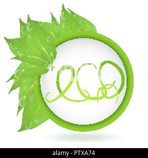 Vettore. Banner rotondo di rami con foglie e gocce di acqua con la scritta eco, isolati su sfondo bianco. Foglie verdi e lo spazio per il testo. Illustrazione Vettoriale