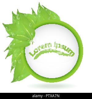 Vettore. Banner rotondo di rami con foglie e gocce d'acqua, isolato su sfondo bianco. Foglie verdi e lo spazio per il testo. banner presentazione, forma Illustrazione Vettoriale