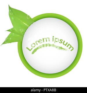 Vettore. Banner rotondo di rami con foglie e gocce d'acqua, isolato su sfondo bianco. Foglie verdi e lo spazio per il testo. banner presentazione, forma Illustrazione Vettoriale