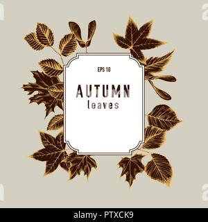 Vettore Collezione di disegnato a mano le foglie di autunno Illustrazione Vettoriale