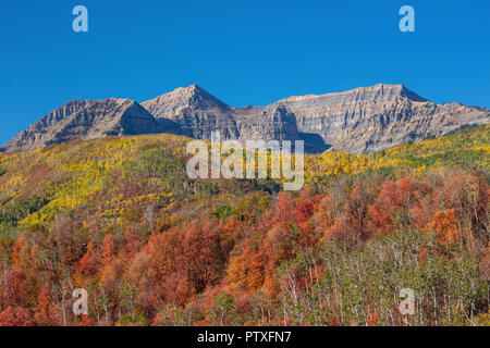 I colori dell'autunno, Mount Timpanogos, Montagne Wasatch, Utah Foto Stock