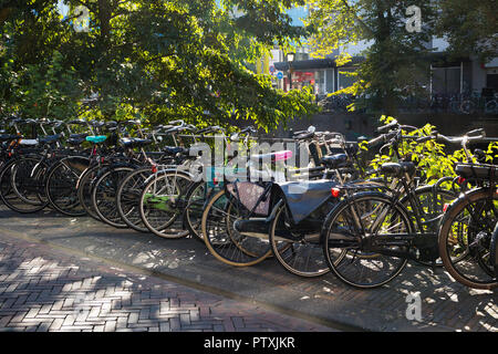 Utrecht, Paesi Bassi - 27 Settembre 2018: Tradizionale fila di biciclette parcheggiate vicino al canale nel centro di Utrecht Foto Stock