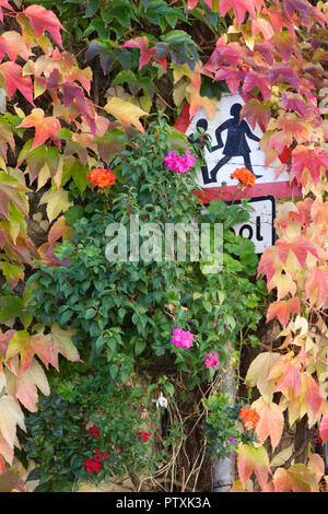 Segno di scuola coperto di foglie di autunno Foto Stock