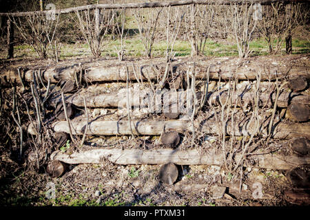 Una parete di ritegno con tronchi di alberi Foto Stock