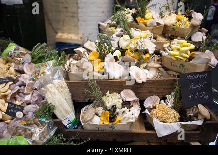 Visualizzazione di un assortimento di funghi su un mercato di Londra in stallo Foto Stock