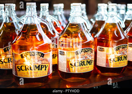 Bottiglie di Cornish Scrumpy prodotta da sidro Healeys Farm, Cornwall, Regno Unito. Foto Stock