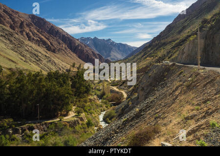 Grapeyard , vigna. Valle Elqui, Ande parte del Deserto di Atacama nella regione di Coquimbo, in Cile Foto Stock