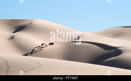 Deserto dei Gobi cavalli a piedi nelle dune di sabbia di Khongoryn Els. Cavalli attraversando le più grandi dune della Mongolia in Hongor Els dune di sabbia. Foto Stock